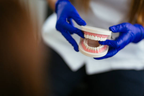 Best Dental Fillings (Composite and Amalgam)  in Rhinelander, WI